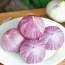 Tỏi cô đơn khô, an toàn VietGAP